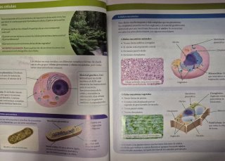 1ESO BIOL-GEOL ISBN 9788468058580