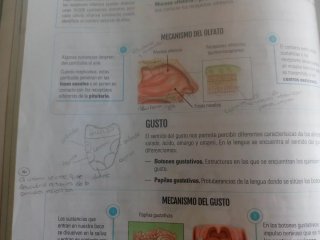 Biología y Geología II, 3 ESO, Secundaria, De otr.