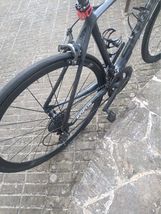 Bicicleta de carretera Focus Cayo