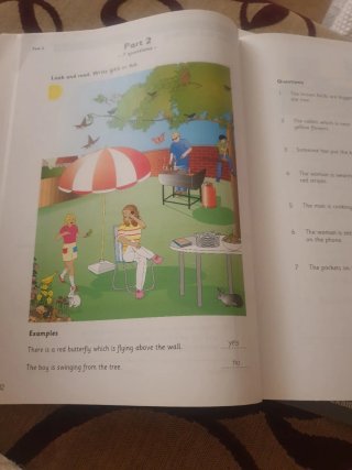 Libro Cambridge Flyers