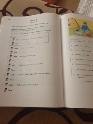 Libro Cambridge Flyers