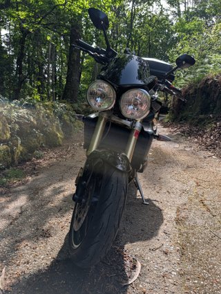 Triumph Street Triple 675 Negra (106cv)