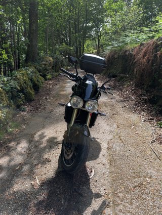 Triumph Street Triple 675 Negra (106cv)