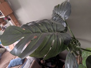 Planta Artificial Decorativa