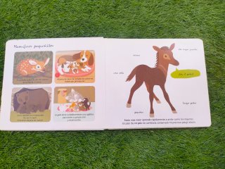Los Pequeanimales Al Dedillo