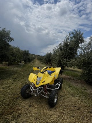 QUAD Amarillo Todoterreno