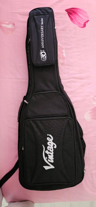 Vintage V100 30th Anniversary Greenburst Guitarra