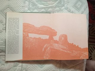 Libro L'Espagne Primitive en Francés 1975.