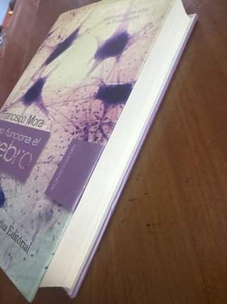 Libro: Cómo funciona el cerebro