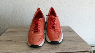 Lote de Zapatos Variados negociable o 10 cada par