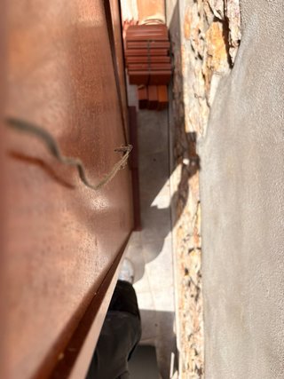 Set di 2 vetrine alte in legno con vetro
