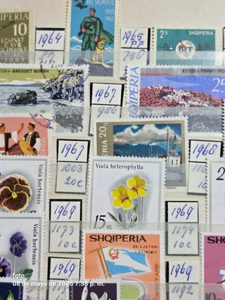 Collezione filatelica centenaria: francobolli esclusivi