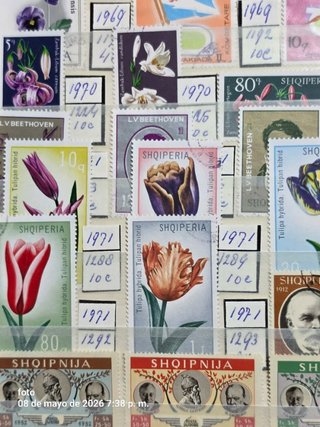 Collezione filatelica centenaria: francobolli esclusivi