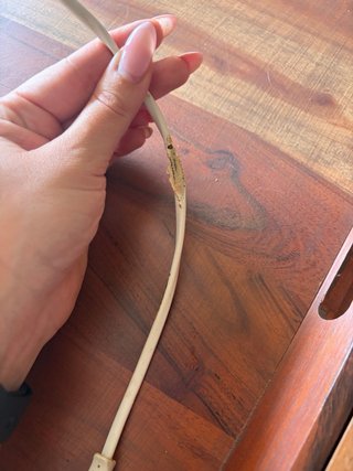 Exprimidor Eléctrico Philips
