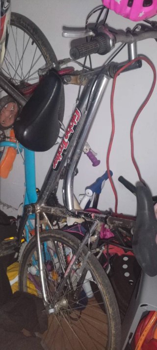 Bicicleta Globber Troter