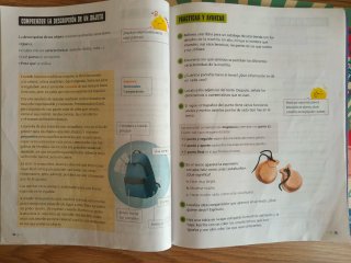 Lengua castellana y literatura 3 Saberes básico...