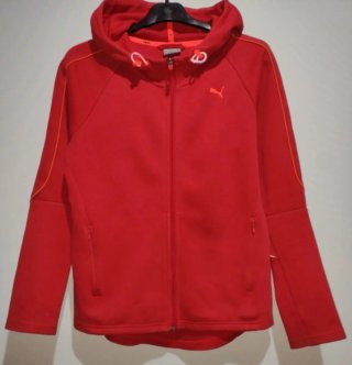 Lote Ropa Talla S: Sudaderas y Camisas