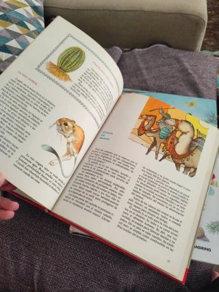 El libro del medio ambiente