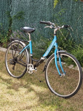 Bicicleta de Paseo