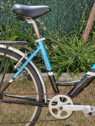 Bicicleta de Paseo