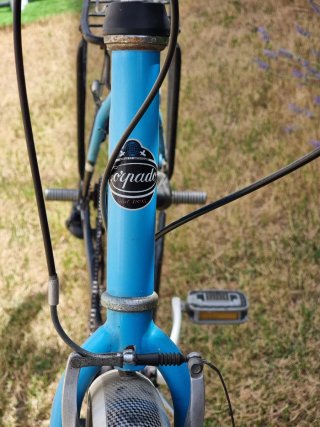 Bicicleta de Paseo
