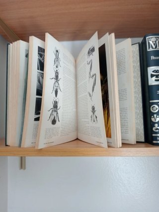 Enciclopedia Historia Natural Marín
