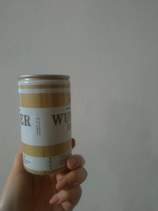 Lattina Vuota Birra Wunster Export 14