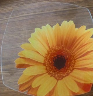 6 Platos Decorados Flor Cristal