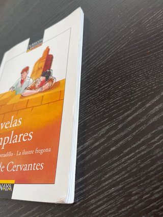 Libro Novelas Ejemplares. Rinconete y Cortadillo.