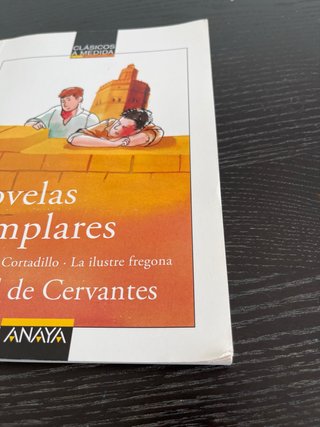Libro Novelas Ejemplares. Rinconete y Cortadillo.