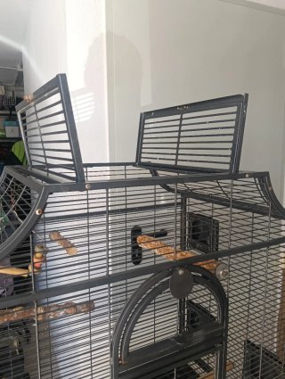 Jaula grande para loros y aves grandes