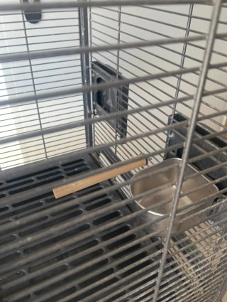 Jaula grande para loros y aves grandes