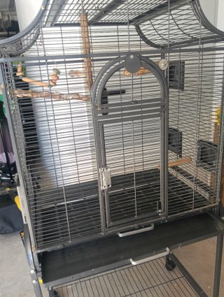 Jaula grande para loros y aves grandes
