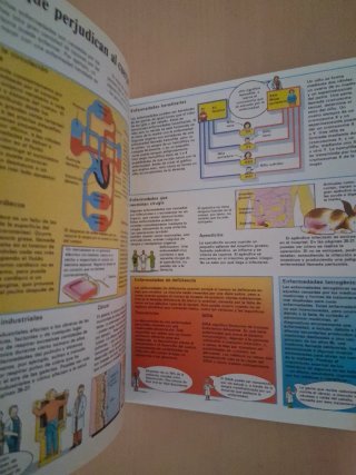 Medicina y salud. El joven científico