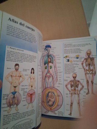 Medicina y salud. El joven científico