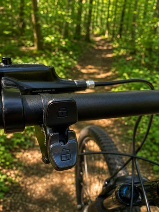 Coluer Ascent 29'' Bicicleta Montaña