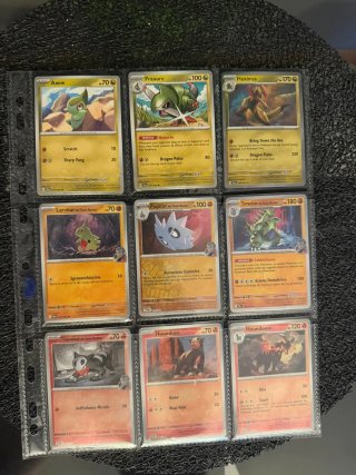 Lotto carte Pokémon