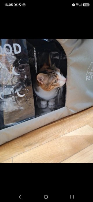 Casetta per gatti/piccoli cani