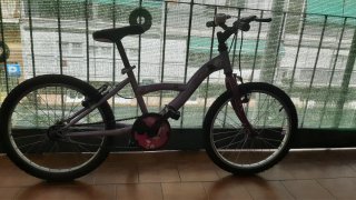 Bicicleta infantil morada
