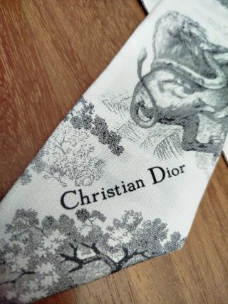 Foulard Dior Twill in Seta