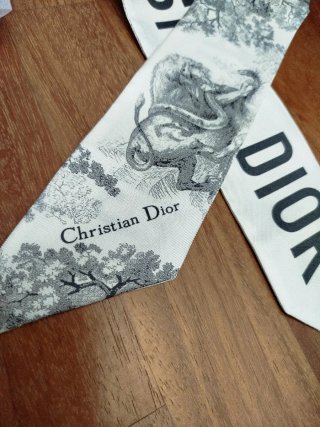 Foulard Dior Twill in Seta