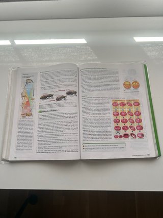 Biología y geología 1 Bachillerato