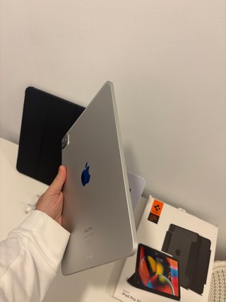iPad Pro 11 M2 256GB Plata