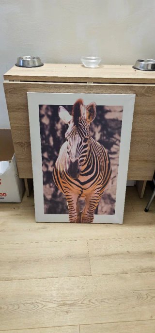 Cuadro/Lienzo Leopardo jirafa y zebra.
