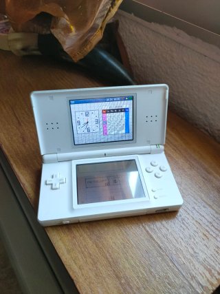 Nintendo DS Lite