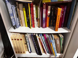 Lote 100 libros variados