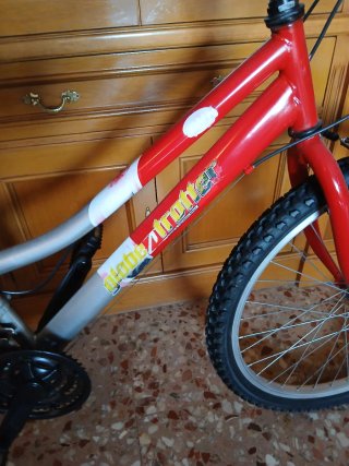 Bicicleta Montaña 24 Roja y Plata