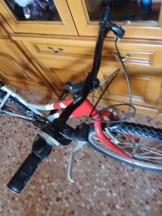 Bicicleta Montaña 24 Roja y Plata