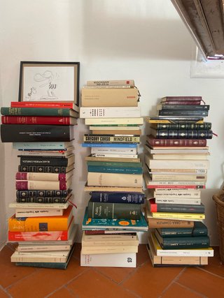 Montaña de libros