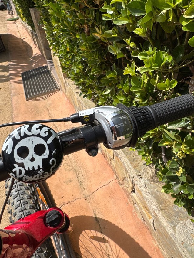 Specialized RipRock 24x2,8